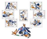 White Belt Expansion Pack - Image 2